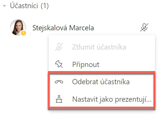 Obsah obrazku snimek obrazovky ptak popis byl vy 1